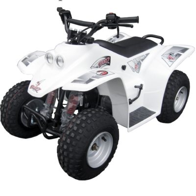 QUADZILLA BUZZ 2K10 WHITE